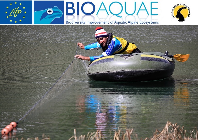 Bioaquae