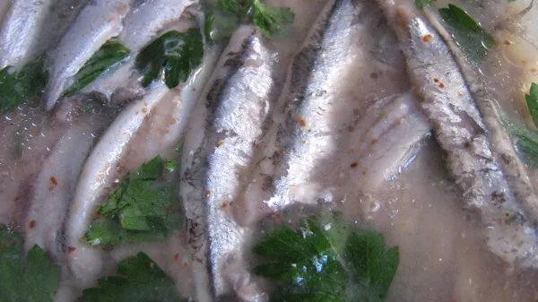 Acciughe marinate con prezzemolo in un piatto