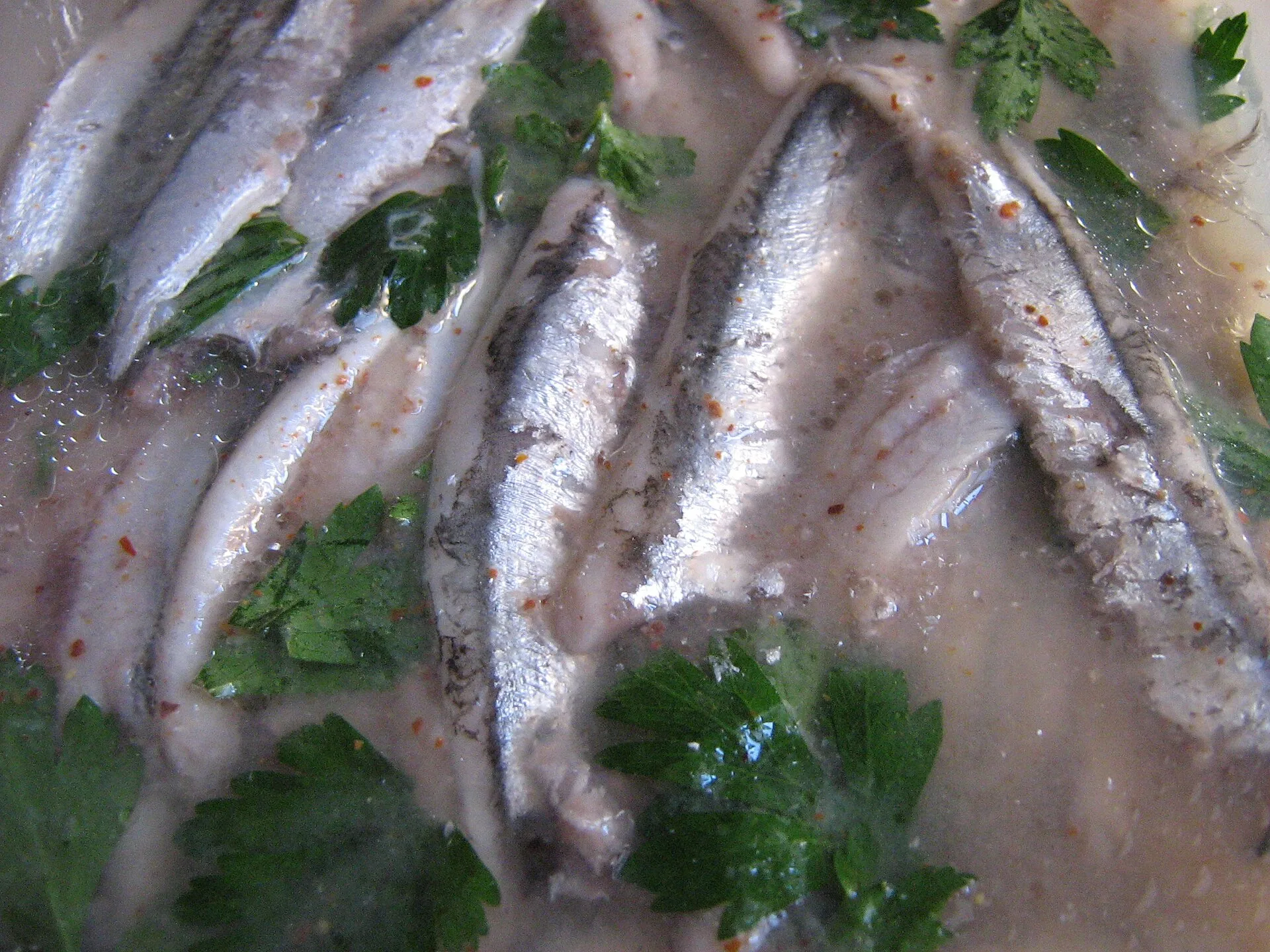Acciughe marinate con prezzemolo in un piatto