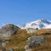 Veduta del Monte Cevedale innevato dall'alta Val di Peio, nei pressi di Malga Mare