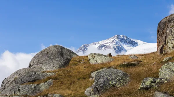 Veduta del Monte Cevedale innevato dall'alta Val di Peio, nei pressi di Malga Mare