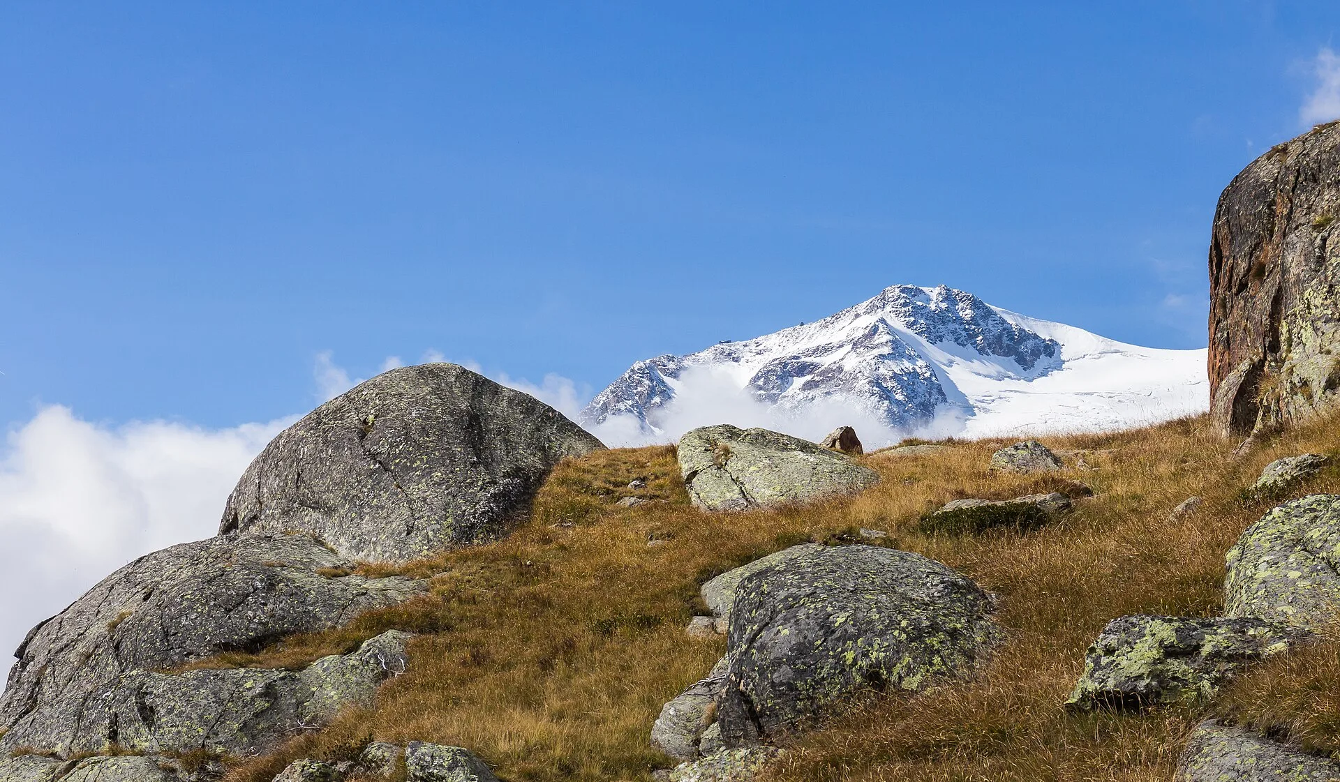 Veduta del Monte Cevedale innevato dall'alta Val di Peio, nei pressi di Malga Mare