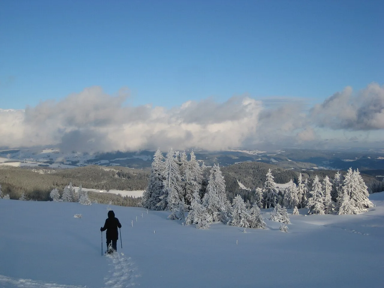 Abbigliamento trekking invernale: escursionisti in ciaspolata sul Feldberg vestiti a strati