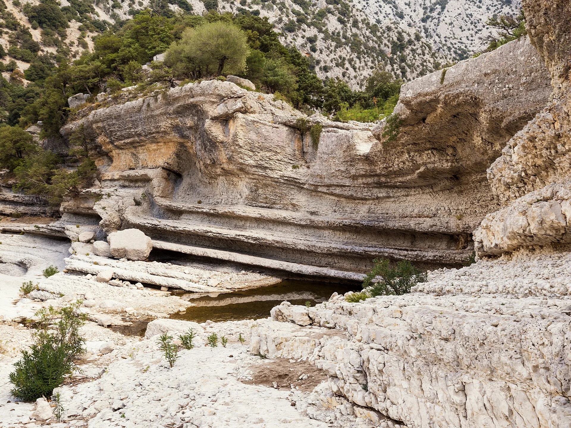 Il fondo della Gola di Gorropu con roccia calcarea levigata dall acqua