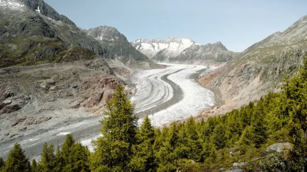 Previsioni montagna: ghiacciaio tra le montagne delle Alpi con boschi di conifere