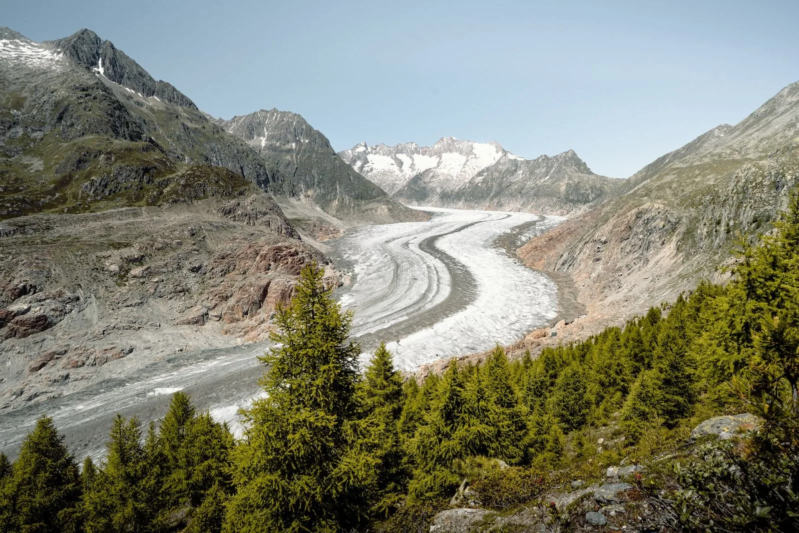 Previsioni montagna: ghiacciaio tra le montagne delle Alpi con boschi di conifere