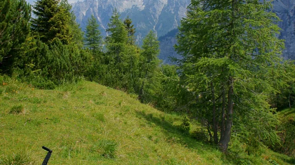 Mountain bike sulle strade di montagna delle Alpi Giulie