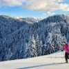 Neve scialpinismo: scialpinista con giacca rosa risale con le pelli un pendio innevato