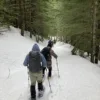 Escursionista con le ciaspole in un bosco innevato