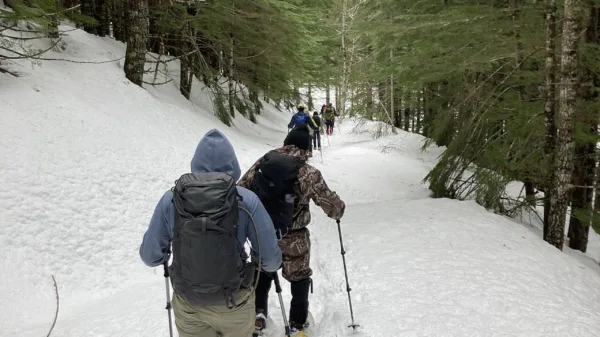 Escursionista con le ciaspole in un bosco innevato