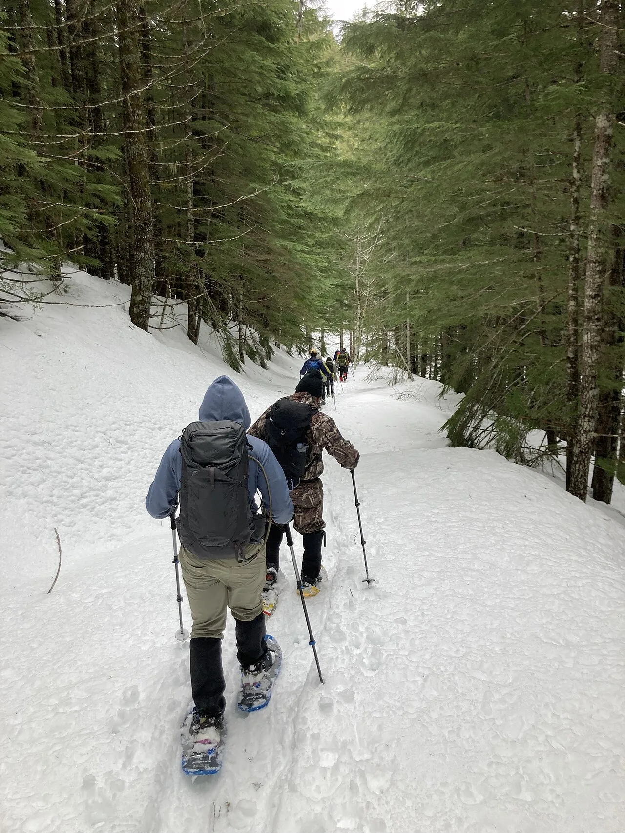 Escursionista con le ciaspole in un bosco innevato