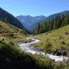 Il fondovalle della Val di Rabbi con il torrente e i boschi