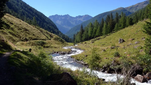 Il fondovalle della Val di Rabbi con il torrente e i boschi