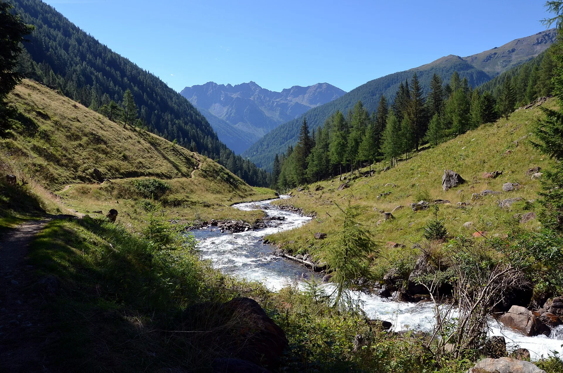 Il fondovalle della Val di Rabbi con il torrente e i boschi