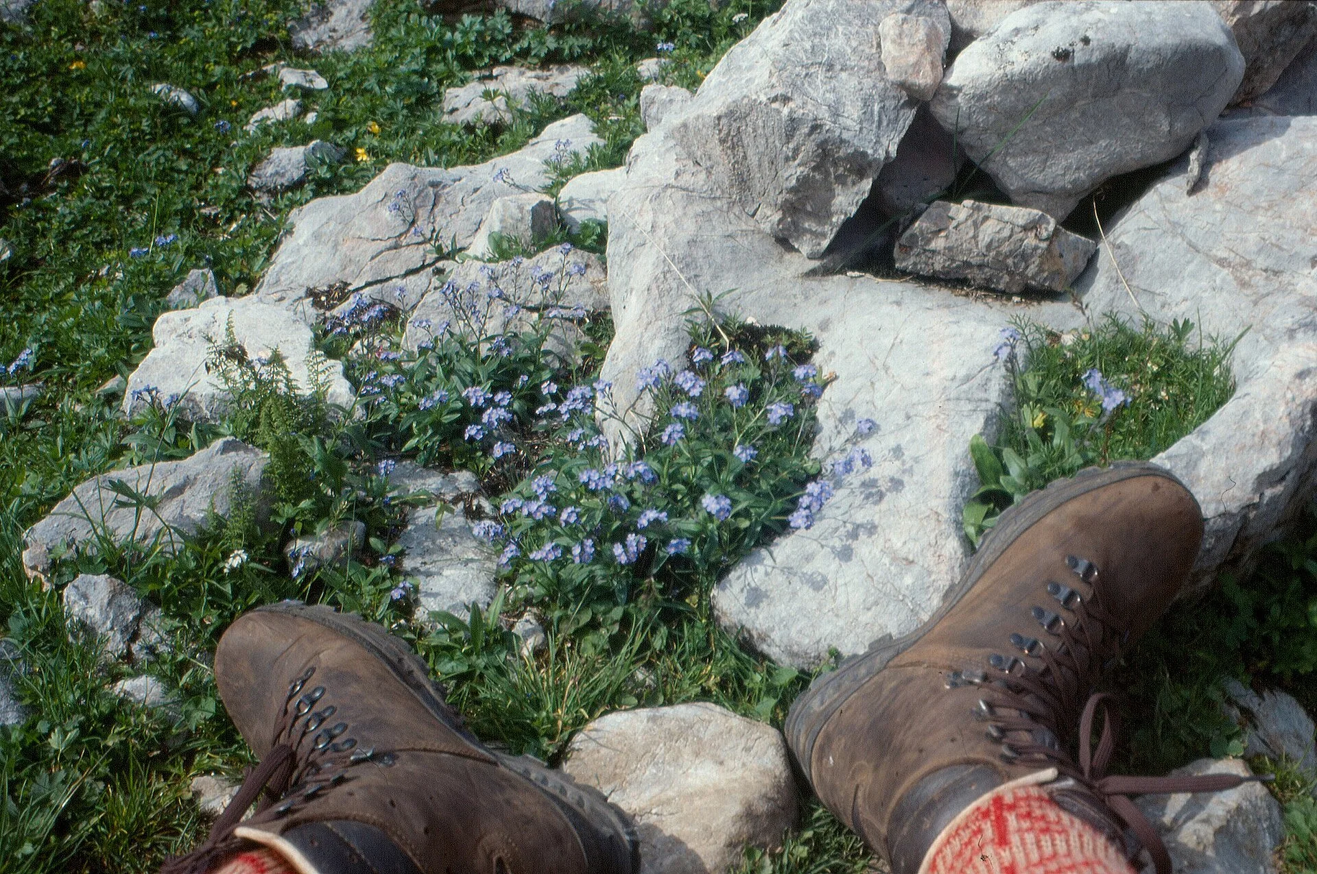 Scarponi da trekking appoggiati a terra